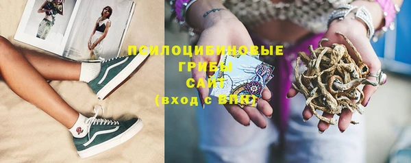 молекула духа Алзамай