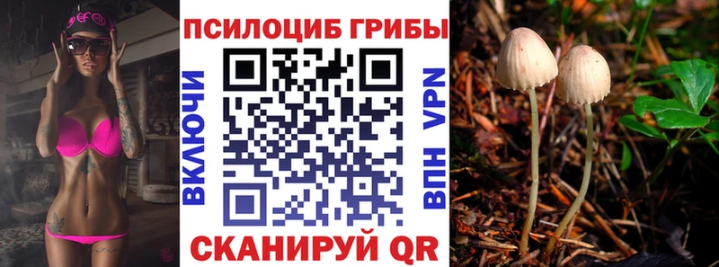 Псилоцибиновые грибы Cubensis  где можно купить наркотик  Игра 